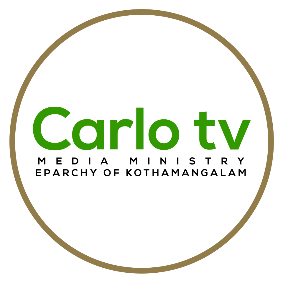 Media Cell & Carlo TV