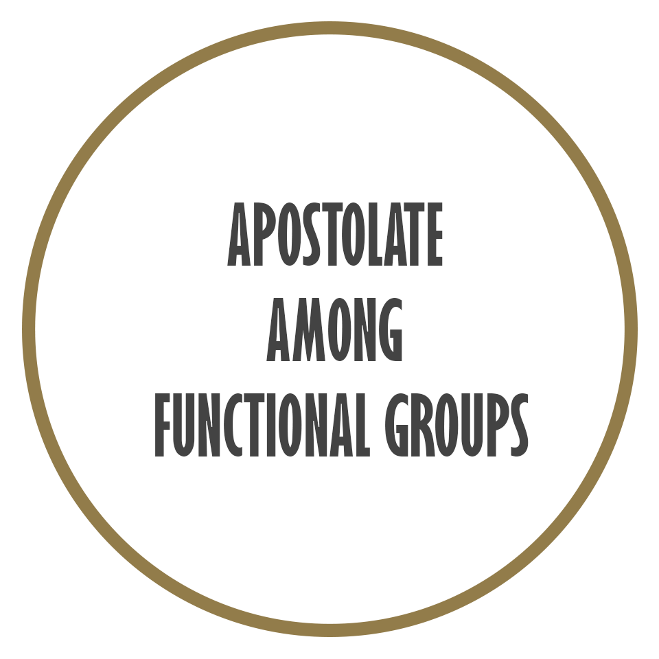 Apostolate Among Functional Groups