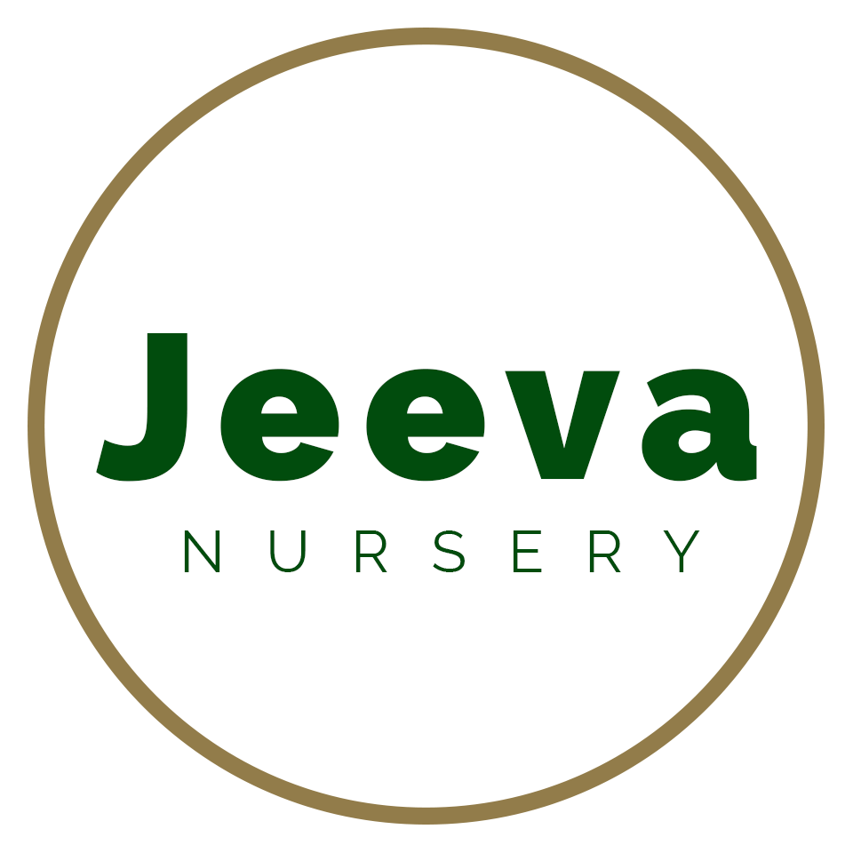 Jeeva Nursery